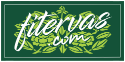 logo-fitervas4.png